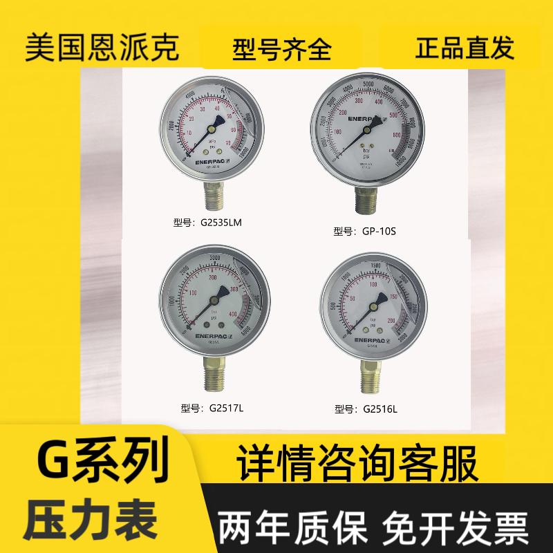 American Enpact Pressure Gauges g Series Gp10S/G2516L/G4089L/G2534R/Gf835B and Other Models