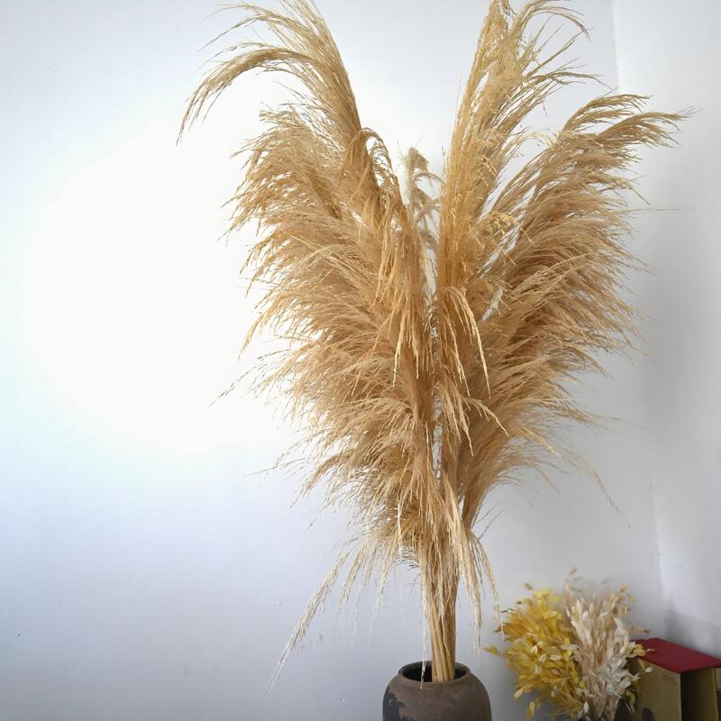 Everlasting Ironwood Reed, Hanging Reed Dried Flower Bouquet, Niche Decoration for Home Soft Furnishings, Zen Style Flower Arrangement Ornament Everlasting Ironwood Reed, Hanging Reed Dried Flower Bouquet, Niche Decoration for Home Soft Furnishings, Zen Style Flower Arrangement Ornament