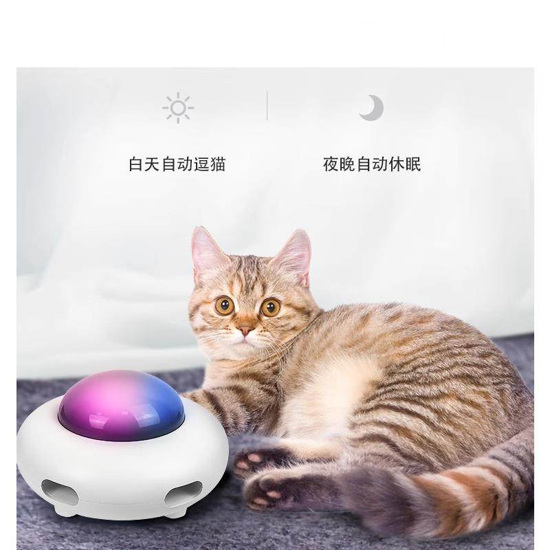 2025年智能宠粮引领潮流，如何挑选猫咪磨牙棒、逗猫棒等解闷神器？