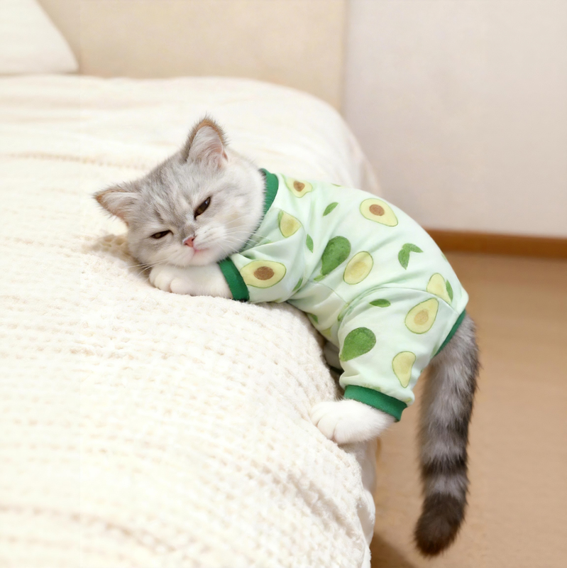 Cat Clothes, Summer Sun Protection Shirt, Four-Legged Clothing, Ragdoll Golden Gradient Layer, Anti-Shedding Home Clothes, Pet Anti-Static Pajamas