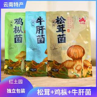云南菌小包装牛肝菌鸡枞菌松茸菌红土园大理特产开袋即食蘑菇零食