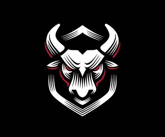 中国晟耀电机企业店的LOGO