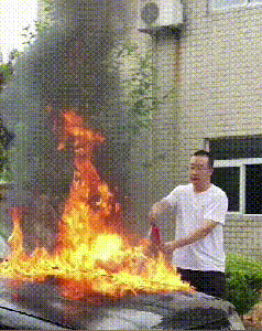 018.gif