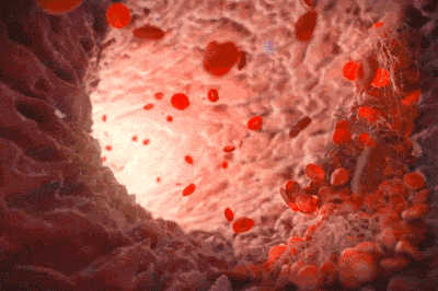 023.gif