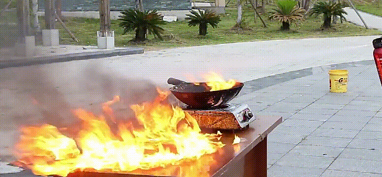 008.gif