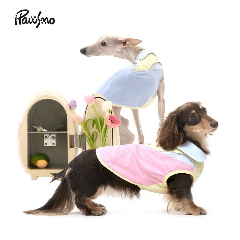 Ipawsmo Summer Dog Cooling Four-Way Stretch Level 3 Water-Repellent Vest for Small and Medium-Sized Dogs, Dachshunds, Greyhounds