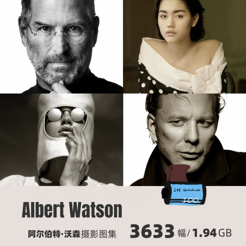 Albert Watson 3633 Photos Aesthetic Enhancement High-Definition Photography Album Digital