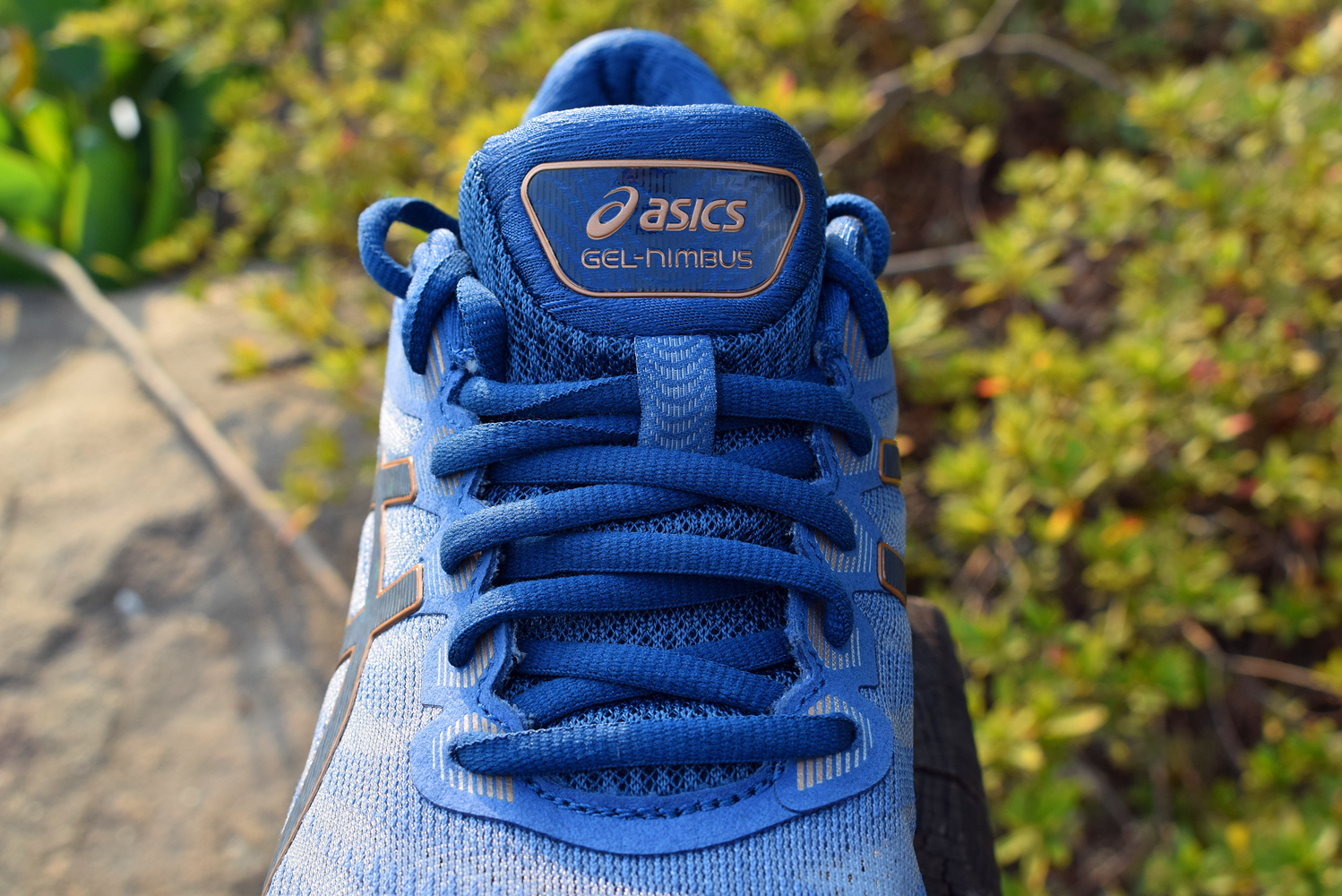 Nimbus22跑鞋实力均衡适用性广16