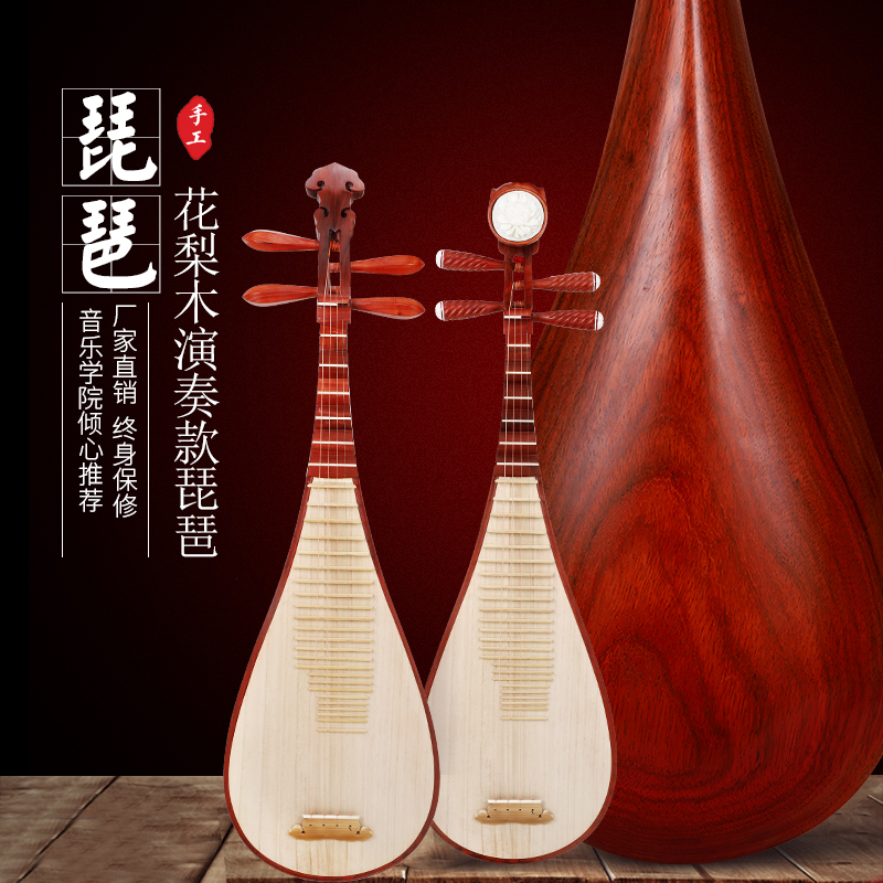 Mahogany pipa beginners into rosewood children's adult national plucked instrument playing grade examination