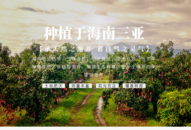O1CN01dNXUIY2H0oyWeK6Jy_!!2220334119089.jpg