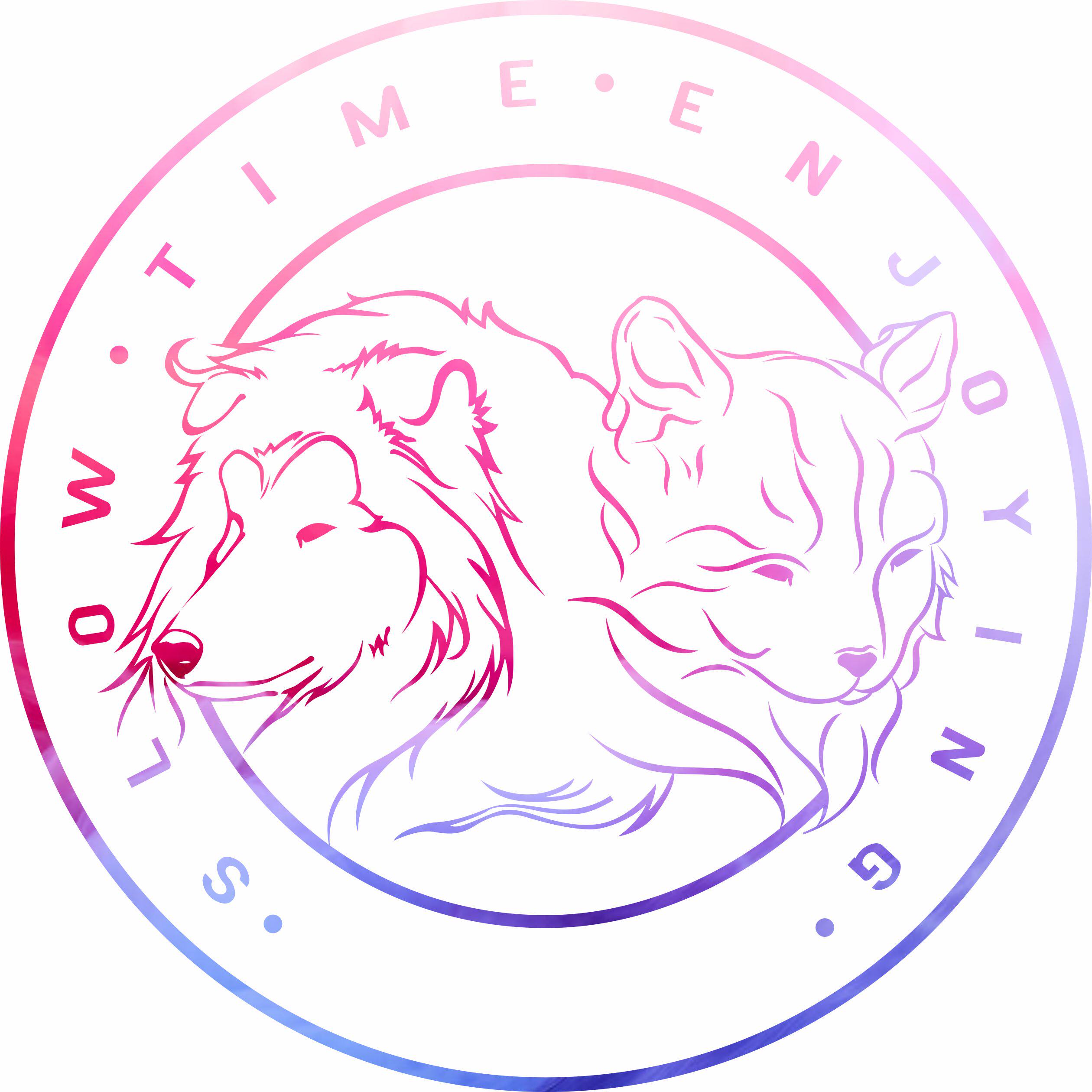 玩宠尚志旗舰店的LOGO