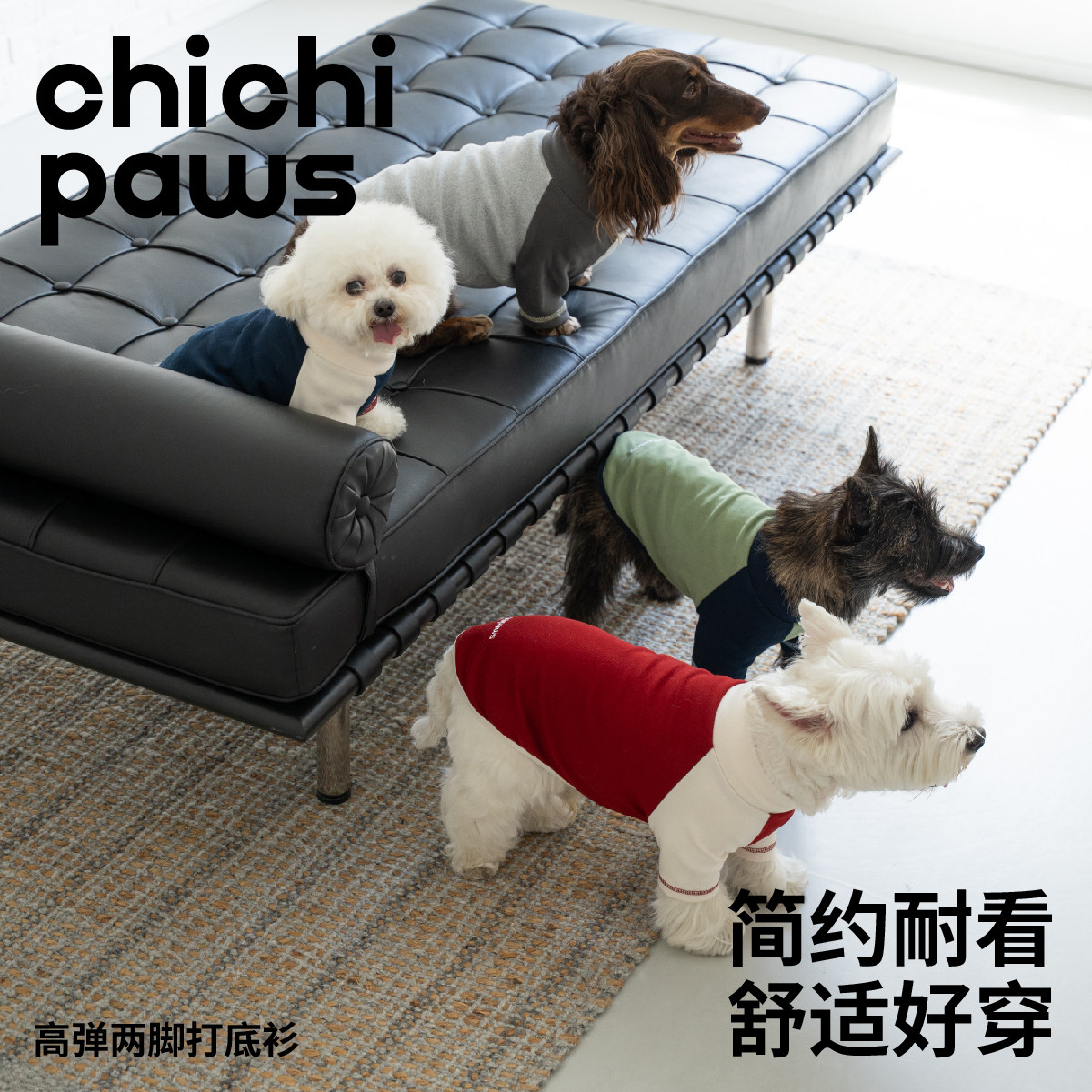 เสื้อผ้าสุนัข Chichipaws เสื้อผ้าสัตว์เลี้ยงแบบสองขา ผ้ายืดสูง ตัดสีเข้ากัน สำหรับสุนัขพันธุ์เล็กและขนาดกลาง เสื้อผ้าอบอุ่นสำหรับลูกสุนัขในฤดูใบไม้ร่วงและฤดูหนาว