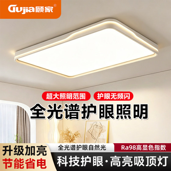 Modern Minimalist Living Room Lamp, Main Bedroom Lamp, Large Ceiling Light, Suitable for Small Apartments, Zhongshan Lighting Fixtures, 110cm
