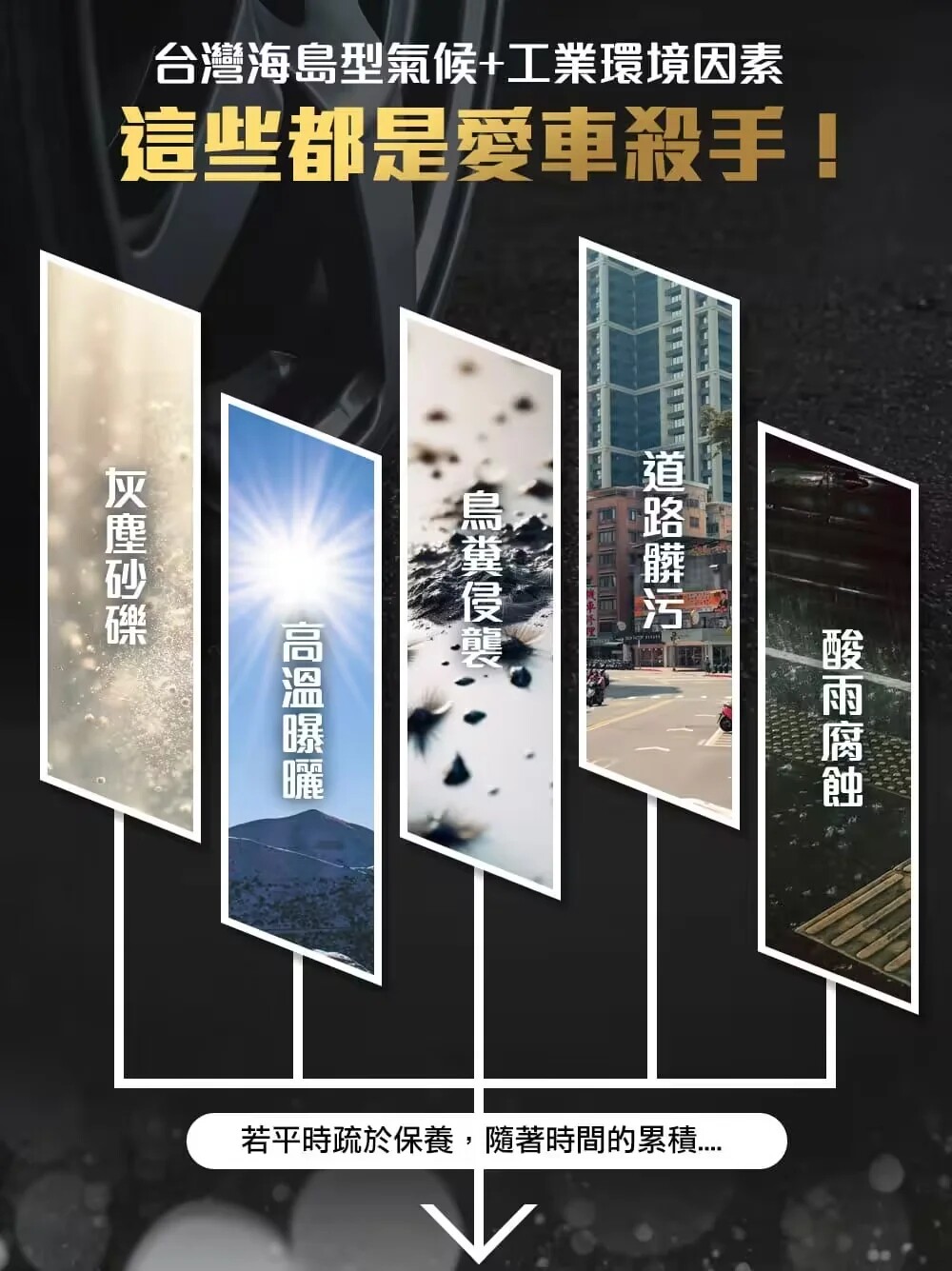 详情02.jpg