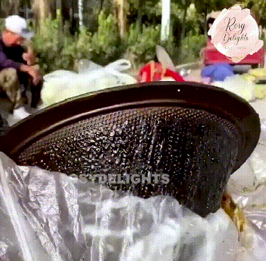 20260701_154927_034.gif
