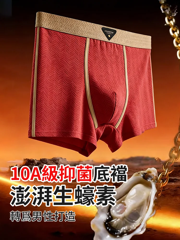 10A抑菌生蠔素四角褲-009.webp