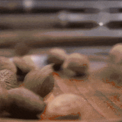 详情21.gif