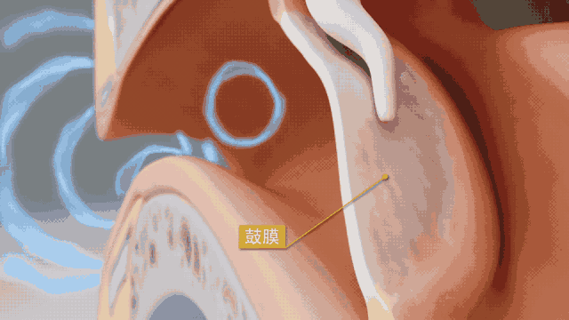 20260520_134834_066.gif