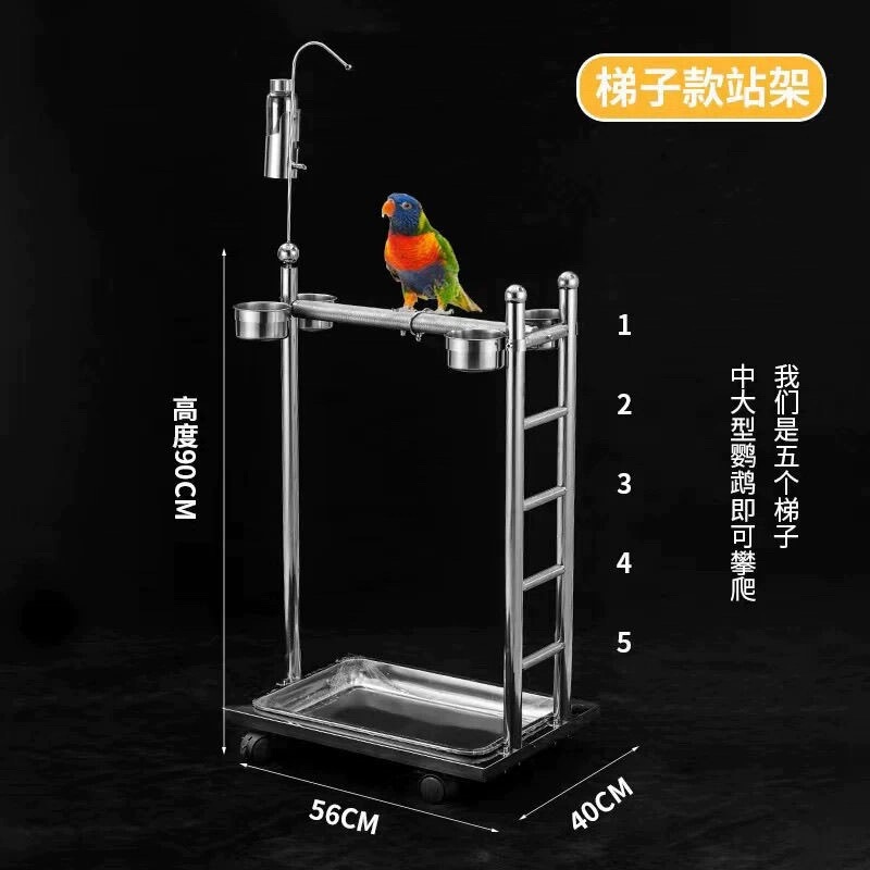Stainless Steel Perch for Small, Medium, and Large Parrots, Matte Perch Pole, Parrot Claw and Teeth Grinding Stick, Bird Cage Adjustable Perch