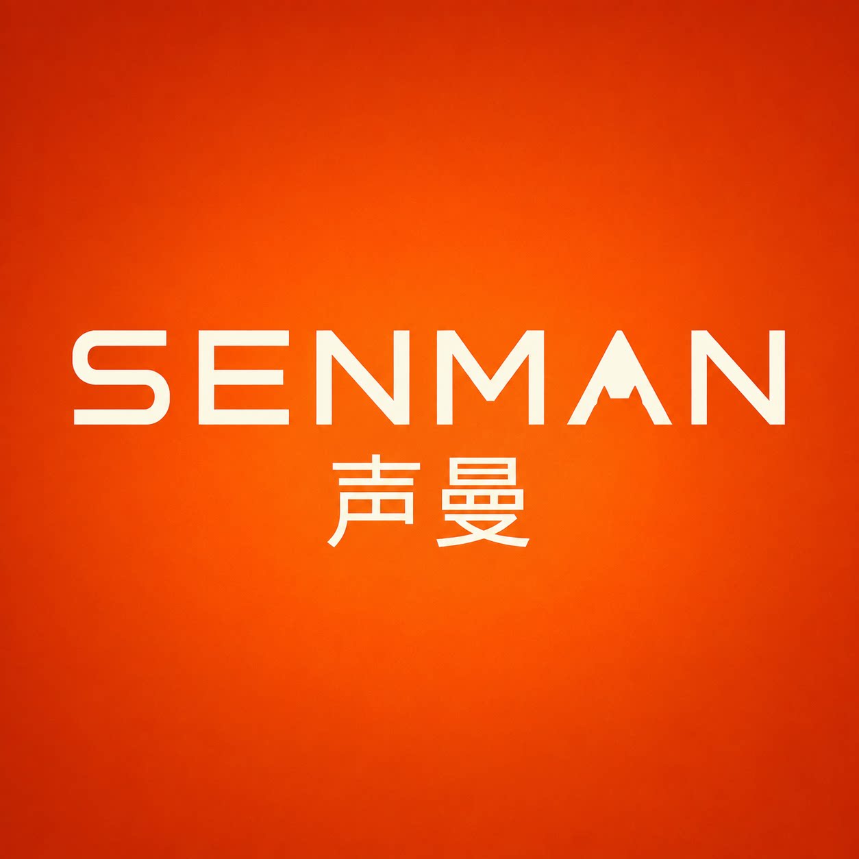 声曼旗舰店