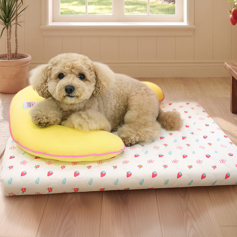 【Parisdog】4D Air Coil Cooling Pad Breathable and Cool Dog Mattress