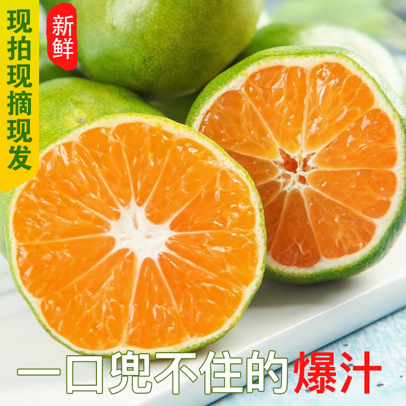 赣南蜜橘新鲜应季!无籽青桔子头茬上市,整箱包邮太香了🍊-桔子-淘宝百科网