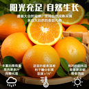 淘金币抵扣！正宗赣南脐橙现摘净重4.5斤