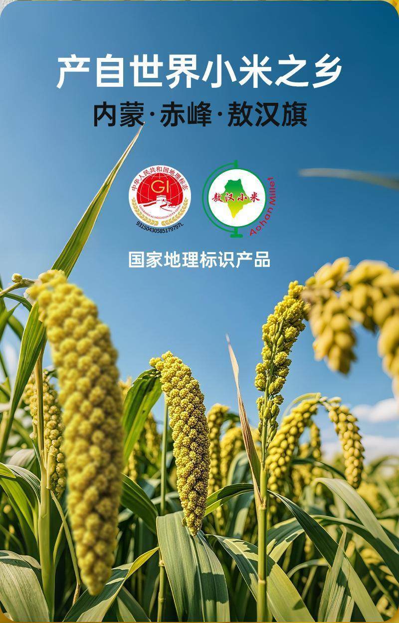 安享好物 安享B级小米-拾兄弟敖汉黄 K1小米 地标