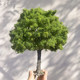 23/28cm High-Quality Wire Tree Model Micro Landscape Green Banyan Tree Dollhouse Figurine Sand Table Platform Decoration Green Tree