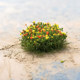 Miniature Irregular Flower Bed Model, Miniature Simulated Grass Block, Flower Garden Scene, Weedy Landscape, Shrubs