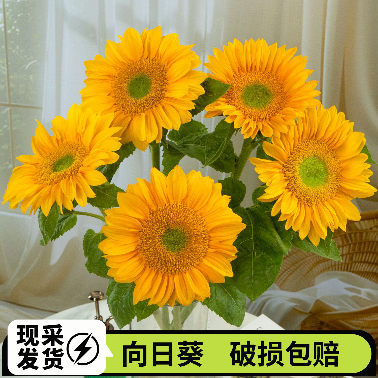 Sunflower flowers, green heart and black heart sunflower flowers, direct hair flowers, fresh home bouquets from Yunnan base