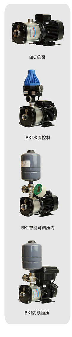<a href=https://www.burks.cn/cn/product/Burks-Horizontal-multistage-pump.html target='_blank'>不锈钢多级泵</a>