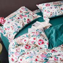 Cotton 60s Egyptian long-staple cotton tribute satin four-piece set cartoon hipster printed cotton 1 8m bedding