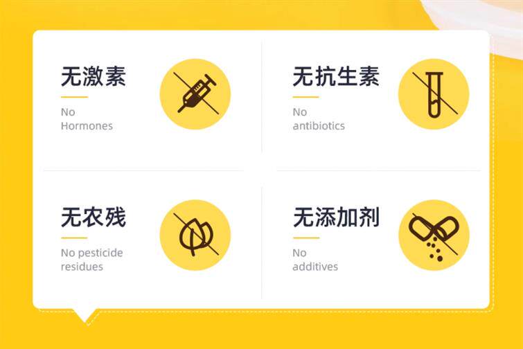 安享好物 安享A级纯奶-乐荷有机牛奶  