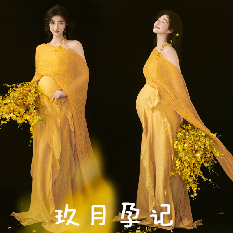 Maternity Photo Clothing, New Style, Studio Retro Oil Painting Style, High-End Atmosphere Dress, Pregnant Mother Art Photo Taken at Home Maternity Photo Clothing, New Style, Studio Retro Oil Painting Style, High-End Atmosphere Dress, Pregnant Mother Art Photo Taken at Home