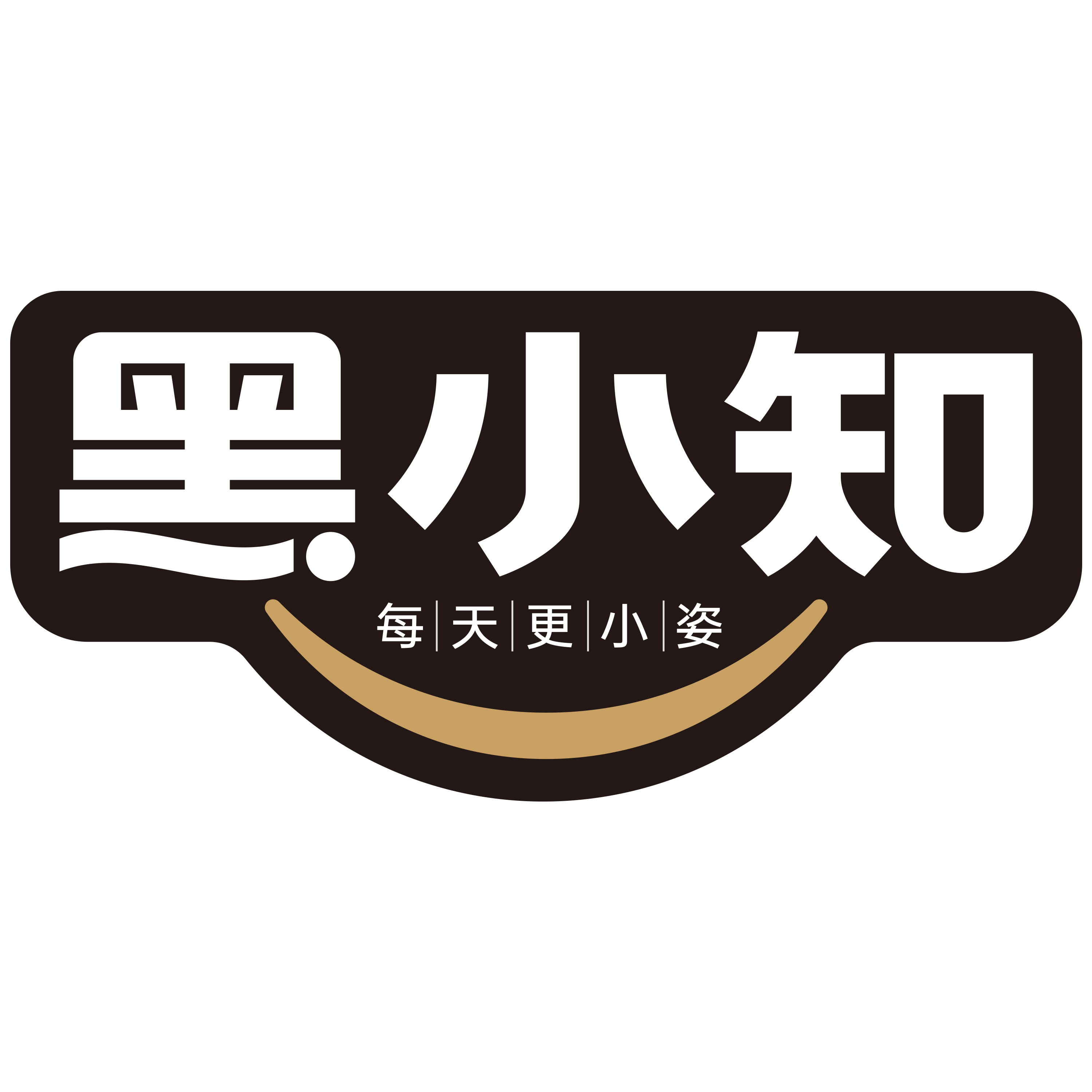黑小知旗舰店的LOGO