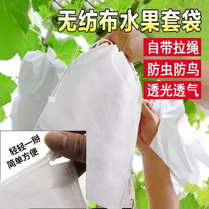 Fruit Bagging Netting for Bird and Insect Protection, Special Nylon Bags for Tomatoes, Grapes, Strawberries, and Figs Fruit Bagging Netting for Bird and Insect Protection, Special Nylon Bags for Tomatoes, Grapes, Strawberries, and Figs
