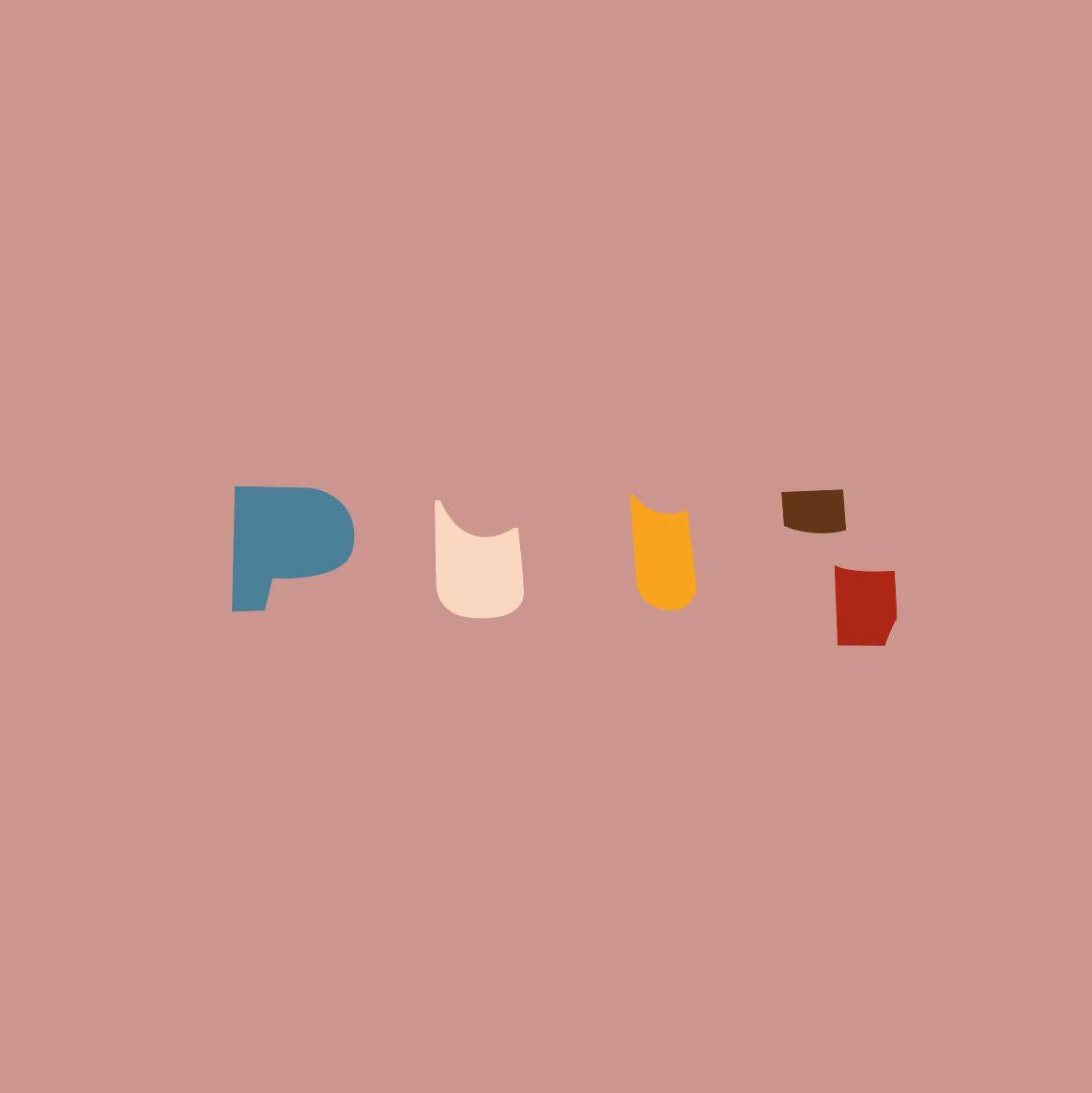 puui旗舰店