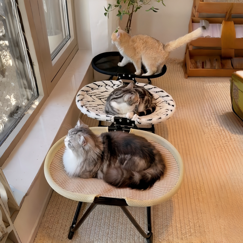 Relaxing and Self-Entertaining Cat Bed, Safe Recliner, Removable and Washable, Wear-Resistant, Stowable Cat Bed, Cat Scratching Board, Breathable for Summer Sleep