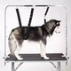Dog Hammock Grooming Stand New Pet Supplies Bathing Sling Adjustable Leash for Small and Medium-Sized Pets