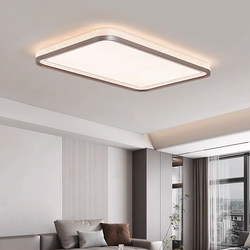 Living Room Lamp, Modern, Simple and Elegant, 2024 New Model, Italian Light Luxury, Dining Room, Bedroom Ceiling Lamp, High-End Feel, Hall Lamp