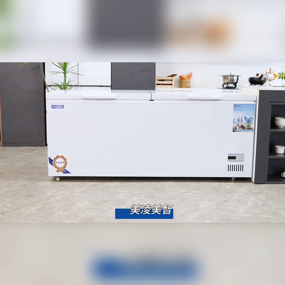 双温冷柜这样用、食材保鲜效可翻倍✨