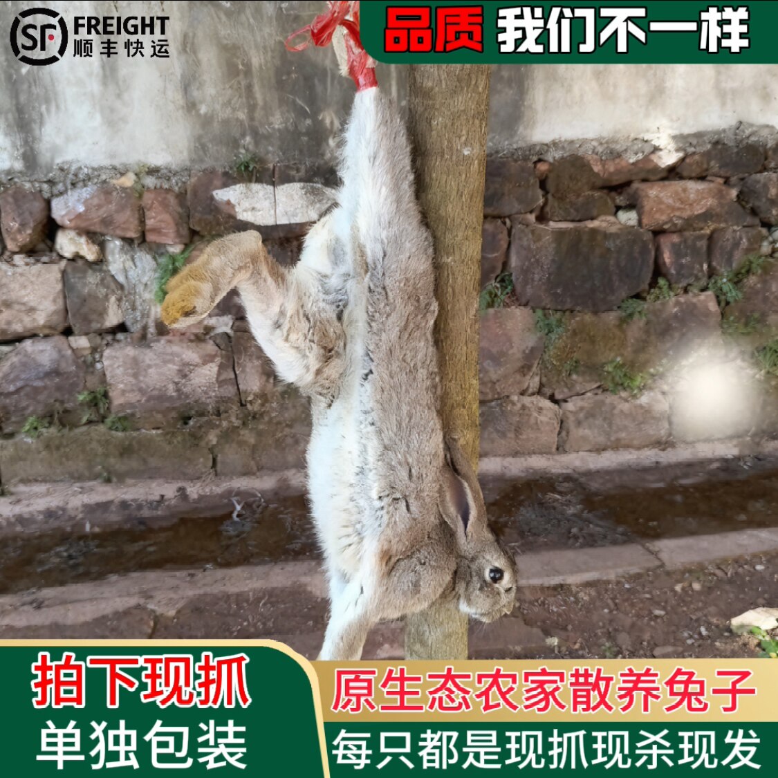 东北山林农场散养兔肉有什么特别之处？-整鸡-淘宝百科网