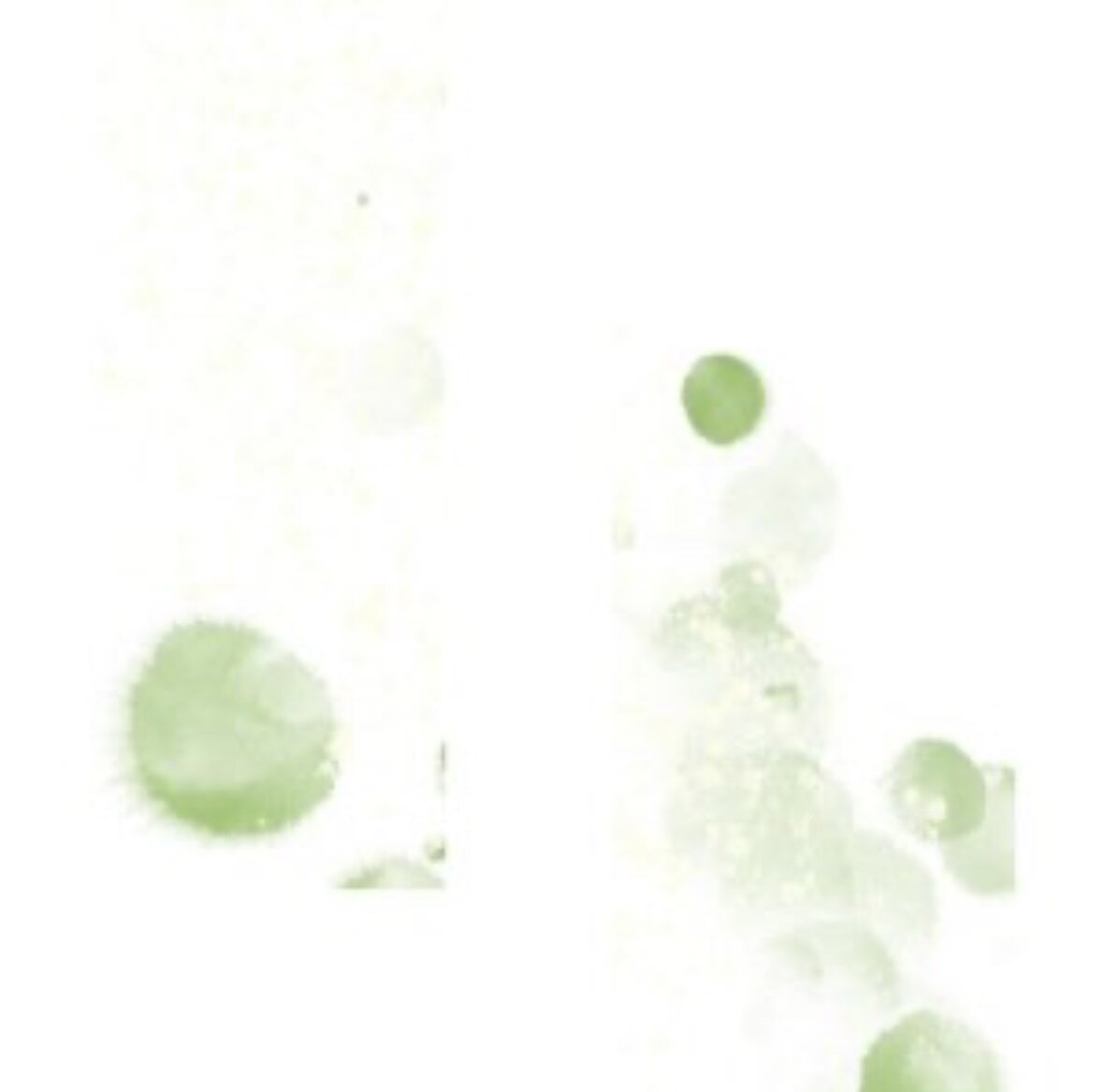 书屿莳的LOGO