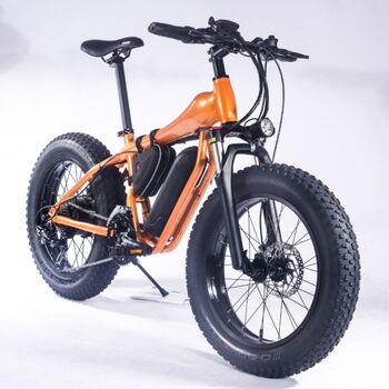 Mountain electric bicycle wide tire electric off-road bicycle 4 8v snow electric w bicycle manufacturer approved
