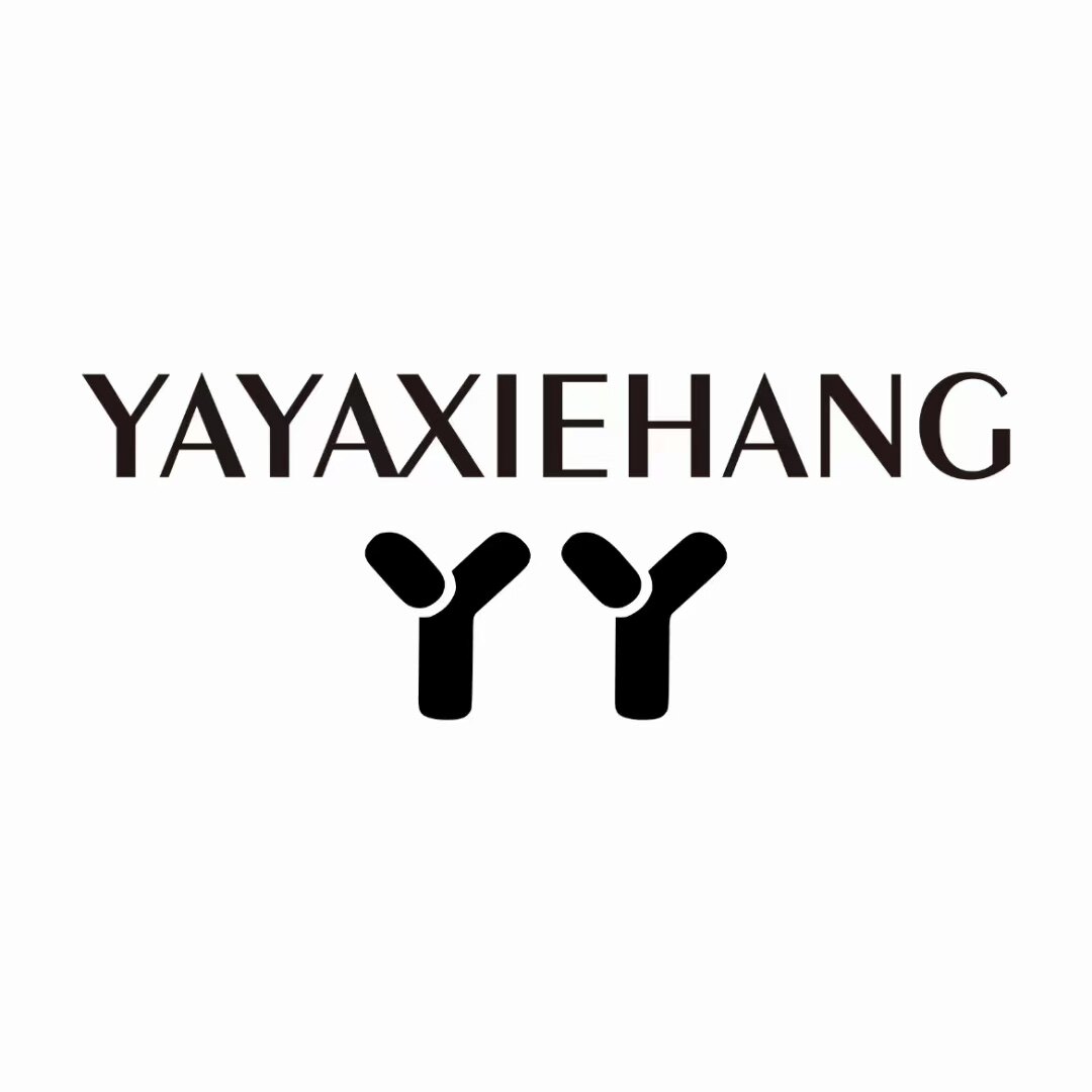 丫丫鞋行的LOGO