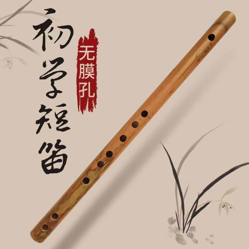短笛无膜孔初学横笛入门竹笛小笛子随身易学口袋乐器古风
