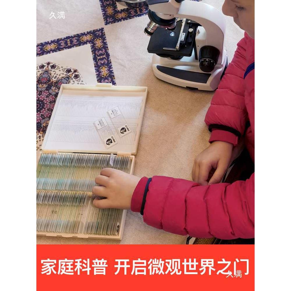 揭开肌肉神经奥秘：四种肌肉组织学玻片标本解析