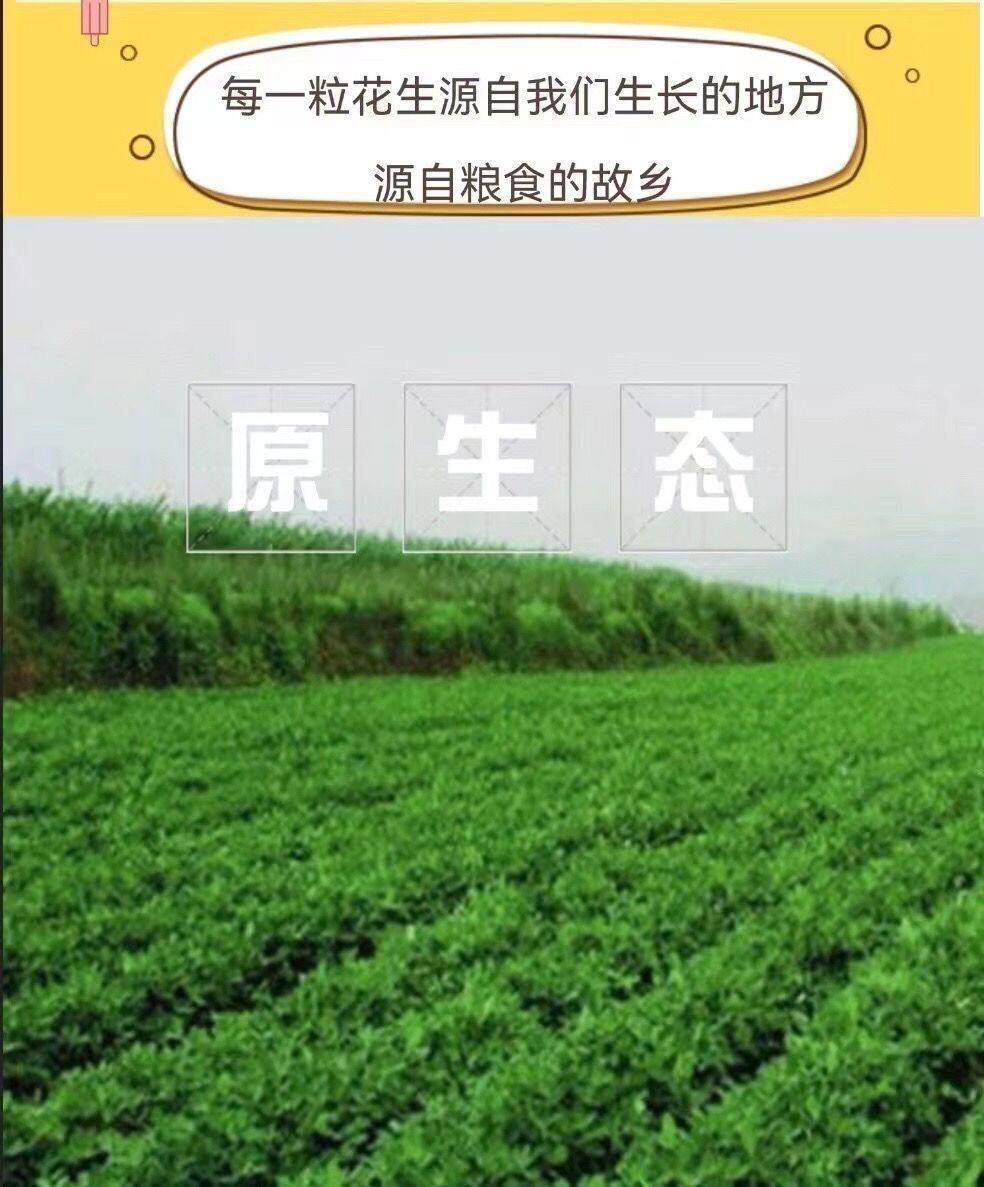 山东壹斗粮仓的LOGO