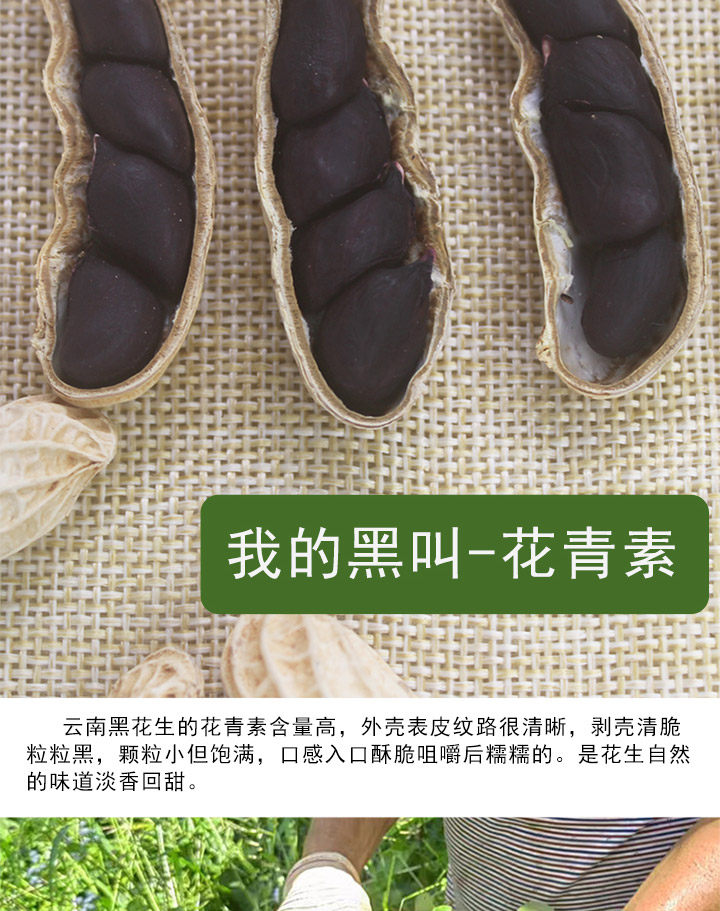 Yunnan Selenium Rich Black Peanut In Shell Raw Roasted Snack 250g quality and texture